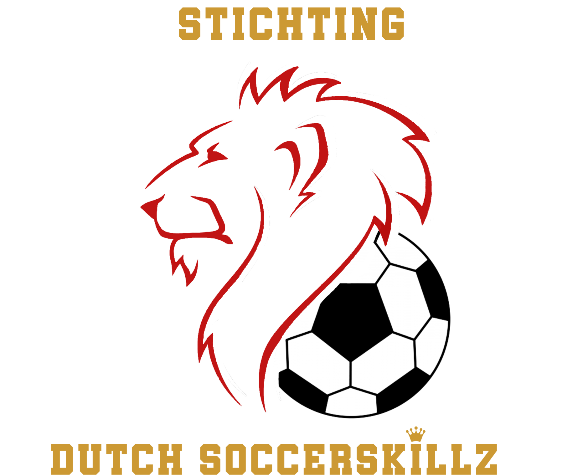 Stichting Dutch SoccerskillZ